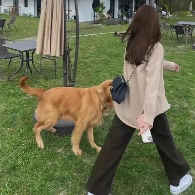 男人的心中只有男人